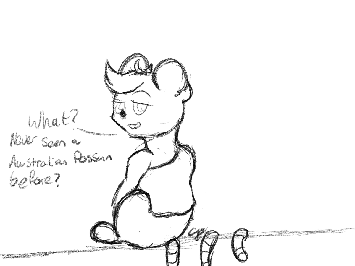 so what's your answer? #possum <a href="/ringtailpossum/">Jan Smith</a> #oc #sketch #digitalart #DigitalArtist