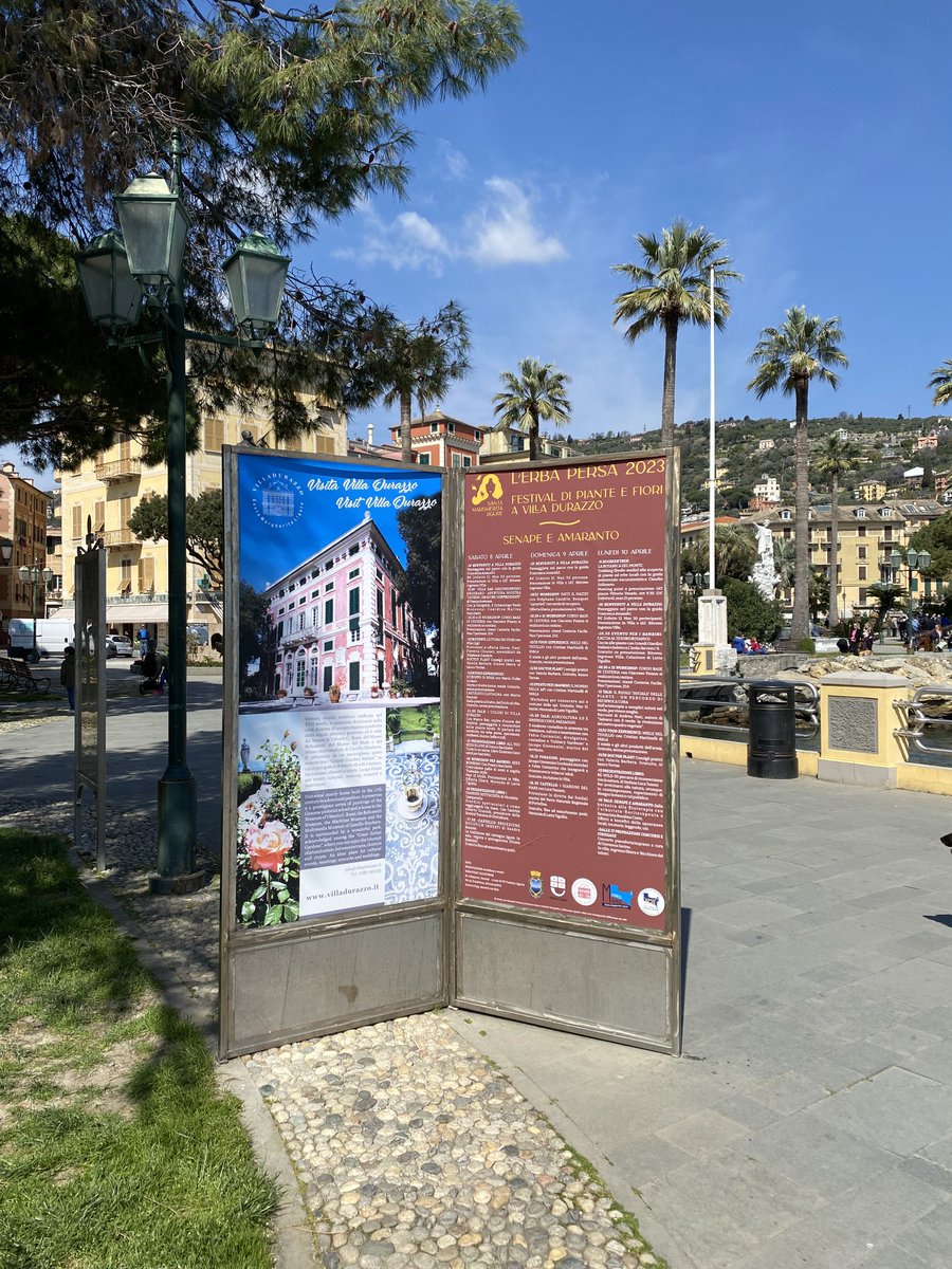 aktogenova's tweet photo. Erba Persa a Santa Margherita Ligure https://t.co/iO6aYqm6Pv