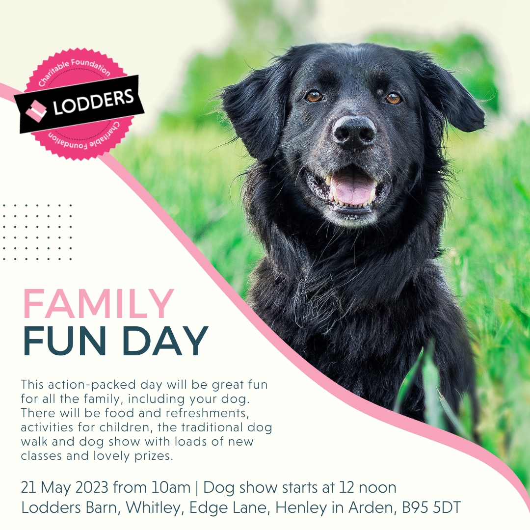 Does your dog have the waggiest tail?

Join us at our Family Fun Day and Dog Show raising funds for local charities the Stratford Food Bank, Home-Start South Warwickshire and NetworkFour.

Learn more about the day here lodders.co.uk/family-fun-day…