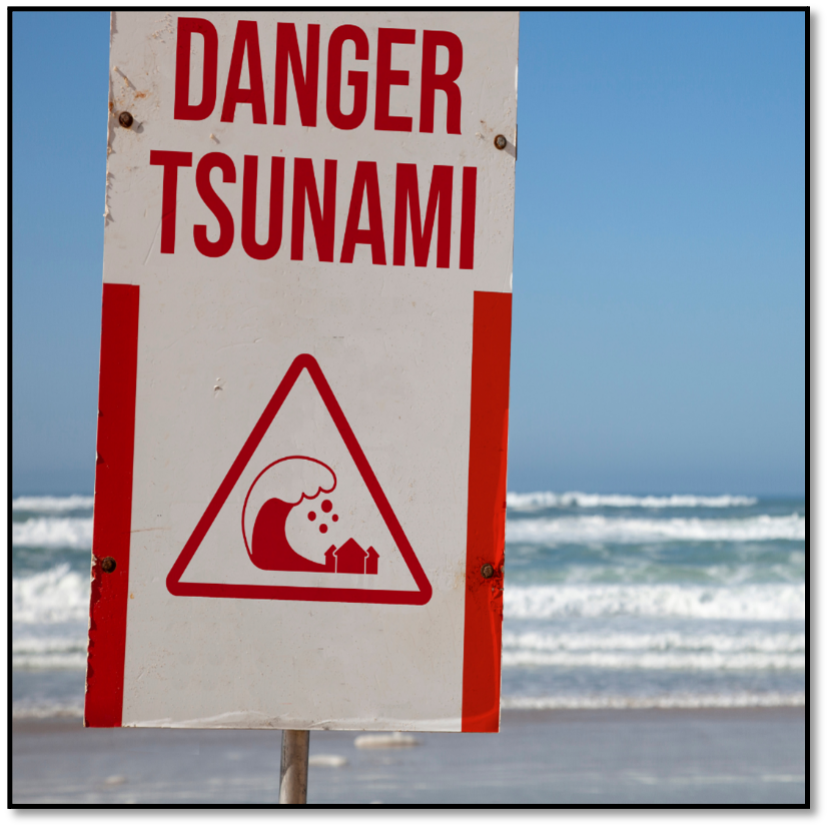 Tsunami Ready Training to Boost the Implementation of Tsunami Ready in CoastWAVE Project Countries.

For more information, please click on the following link: 👇
neamtic.ioc-unesco.org/index.php?opti…