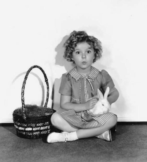 #ShirleyTemple ❤

#Easter 💐🐰🐰