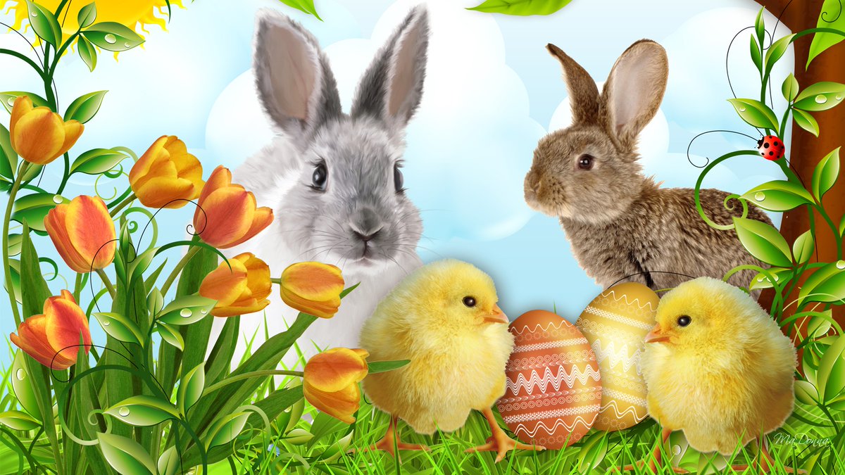 Happy Easter to all our wonderful members - mailchi.mp/d17c94662910/h…