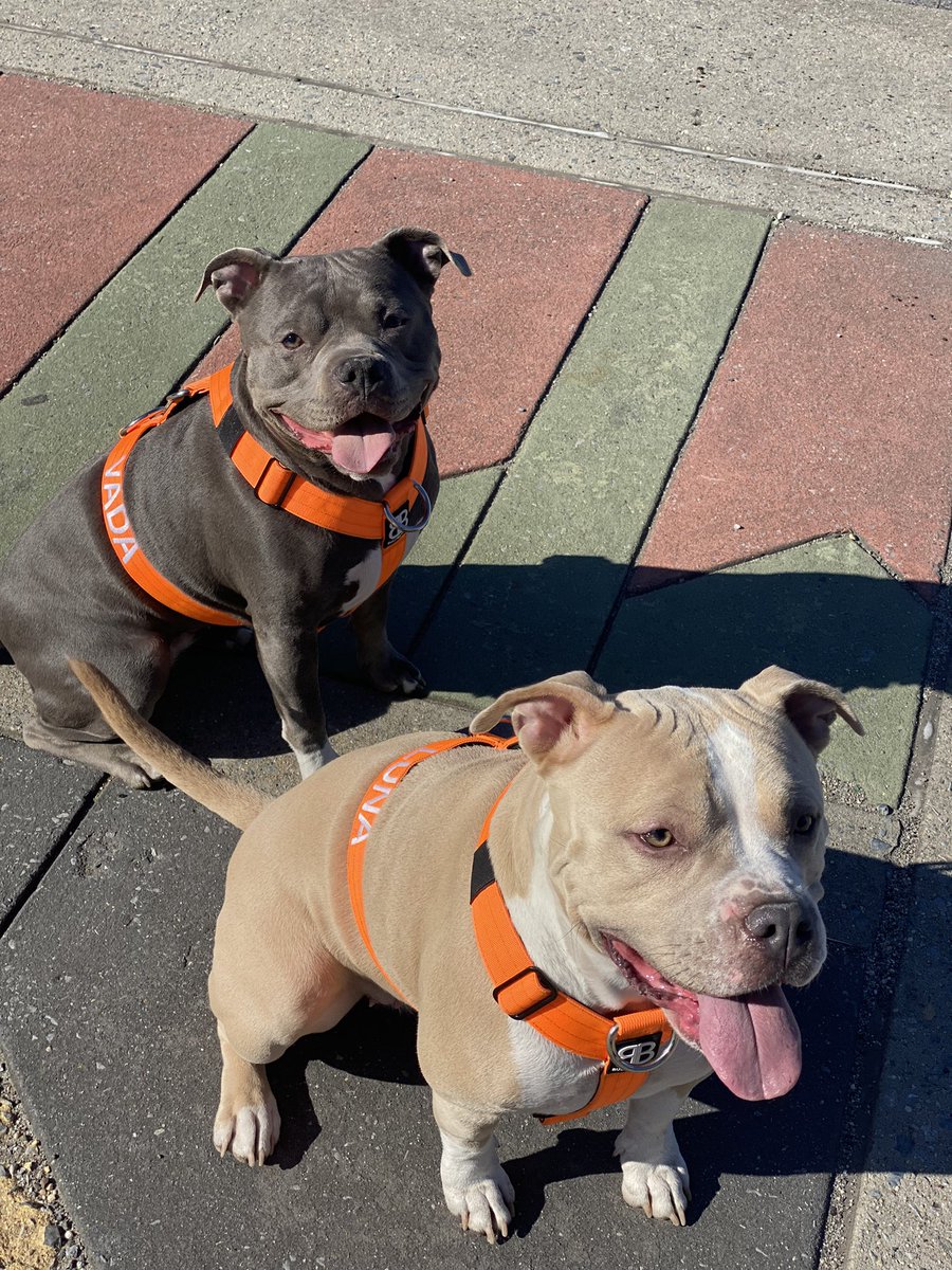 My ladies ! ♥️ Big girls ❤️ Big love 💕