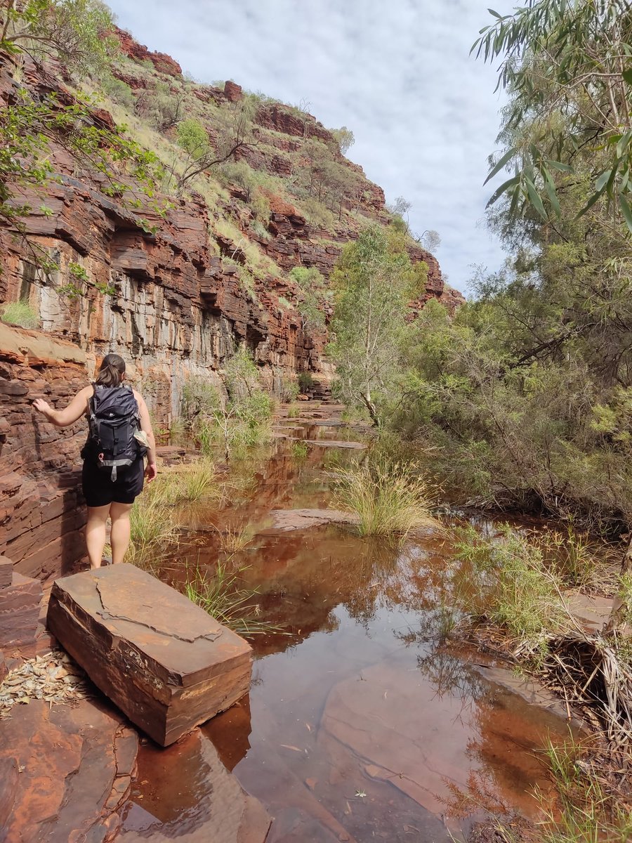 MissSophiesAdv's tweet photo. What to see in #pilbara region: amazing gorges and major mining operations along the #walru https://t.co/lsAfVgluwt