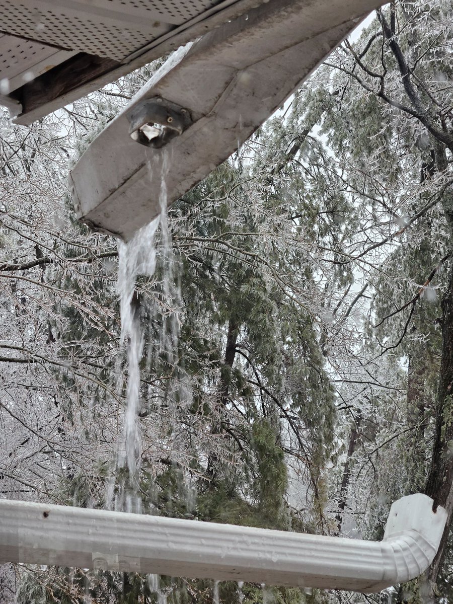 Got clipped by a tree during yesterday's ice storm, otherwise mostly unscathed. No power/heat/water for now but fired up the generator this morning because no coffee isn't an option.