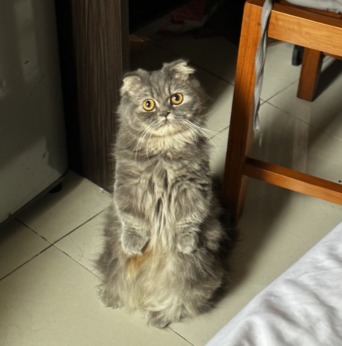 rey 👨🏽‍🚀 tweet media