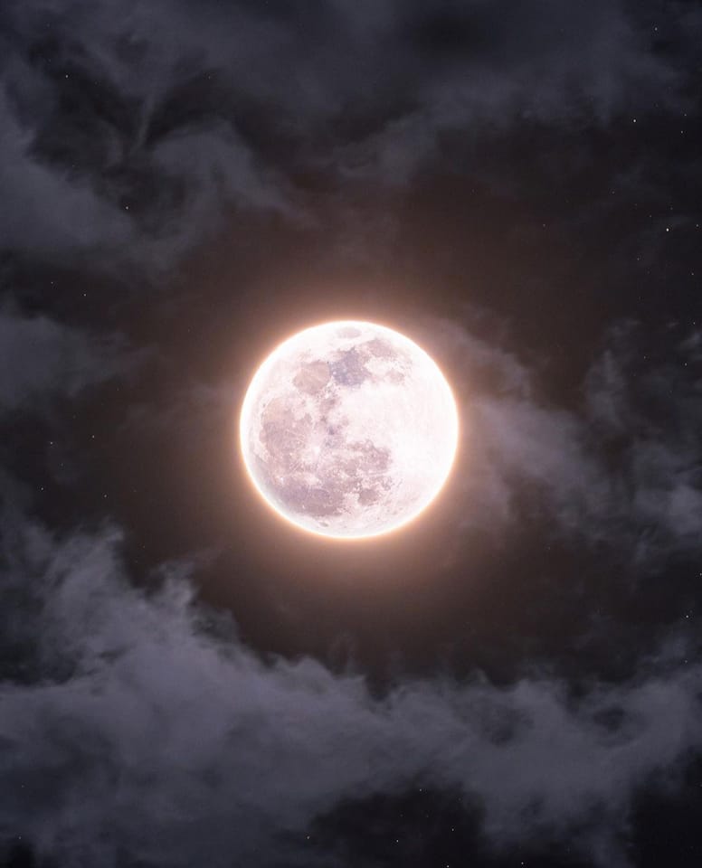 Full April Pink moon 🌕✨

#fullmoon #fullmoonritual #psychiclilly #nightphotography #nightphoto #moonshot #moonphotography #moonphoto #thursdaymotivation #thursdaymood #thursdayvibes #thursdaymorning