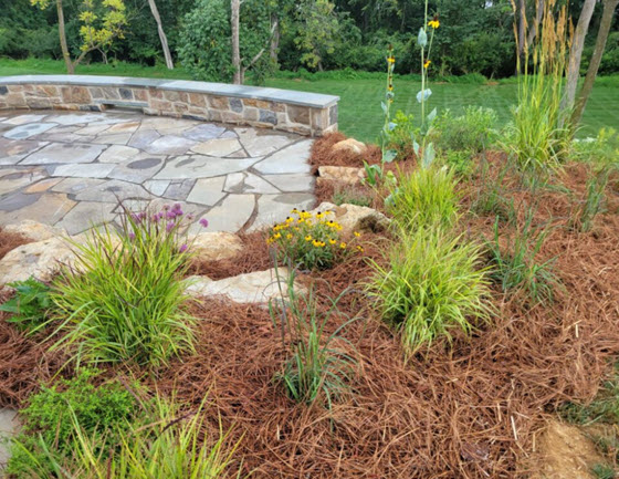 I read a statement on a reputable gardening website that prompted today's Garden Bite. They recommended plastic or landscape fabric for mulch in some areas. Today's Garden Bite is about why they're a bad idea and the better options out there. 
gardenbite.com/mulch-and-a-tr…