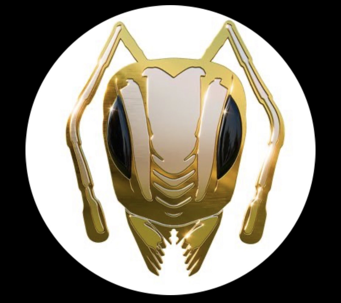 Ants gansta ⛤ tweet media