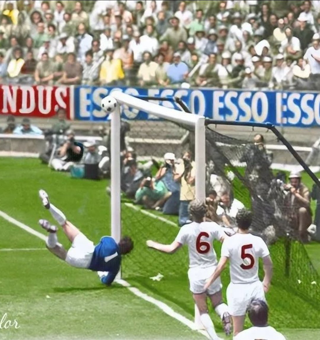 This is still for me the BEST save in World Cup history! Which one is the BEST for you?