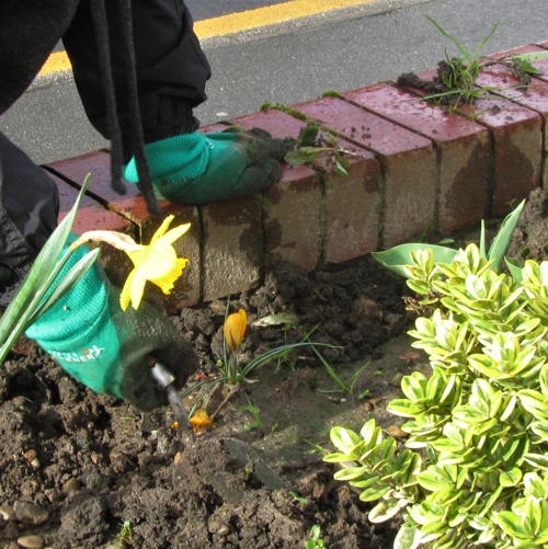 Grow Edgeley tweet media