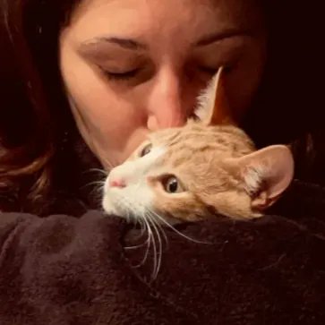 Thanks to the generosity of over 60 donors, Gin was able to get the FIP treatment needed.

Read Gin's story, here:gogetfunding.com/gins-fip-medic… 

#fip #FIPmedication #FIPfundraiser #fundraisinginMalta #animalfundraiser #petfundraiser #catcare