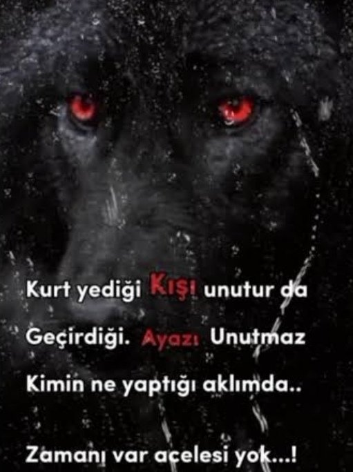 vatanys's tweet photo. #StatümüzOnurumuzdur
#AstsubayınaSahipÇık
Sözünüzü tutarsanız o sözün hükmü olur sözünüzü tutmaz
sanız o söze kimse itibar etmez ASSUBAY larda itibar etmez. SÖZ vermiştiniz sözünü tutmayanı gözümüz tutmuyor
https://t.co/ss2kL47ers
https://t.co/2ft68iKbzR
https://t.co/4na7PZbV7E https://t.co/hVtEDmkNow