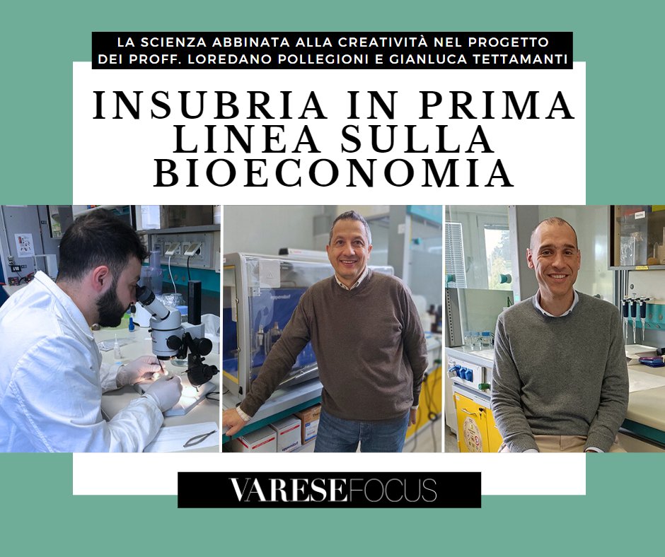 🏅 #Insubria trai primi centri di ricerca impegnati nella #bioeconomia, il meta-settore che unisce #sostenibilitàambientale e #innovazioneindustriale.
👉Su #Varesefocus i progetti dei proff. Loredano Pollegioni e Gianluca Tettamanti
varesefocus.it/vf/dx/Varese-i…

#insubriaè #ricerca