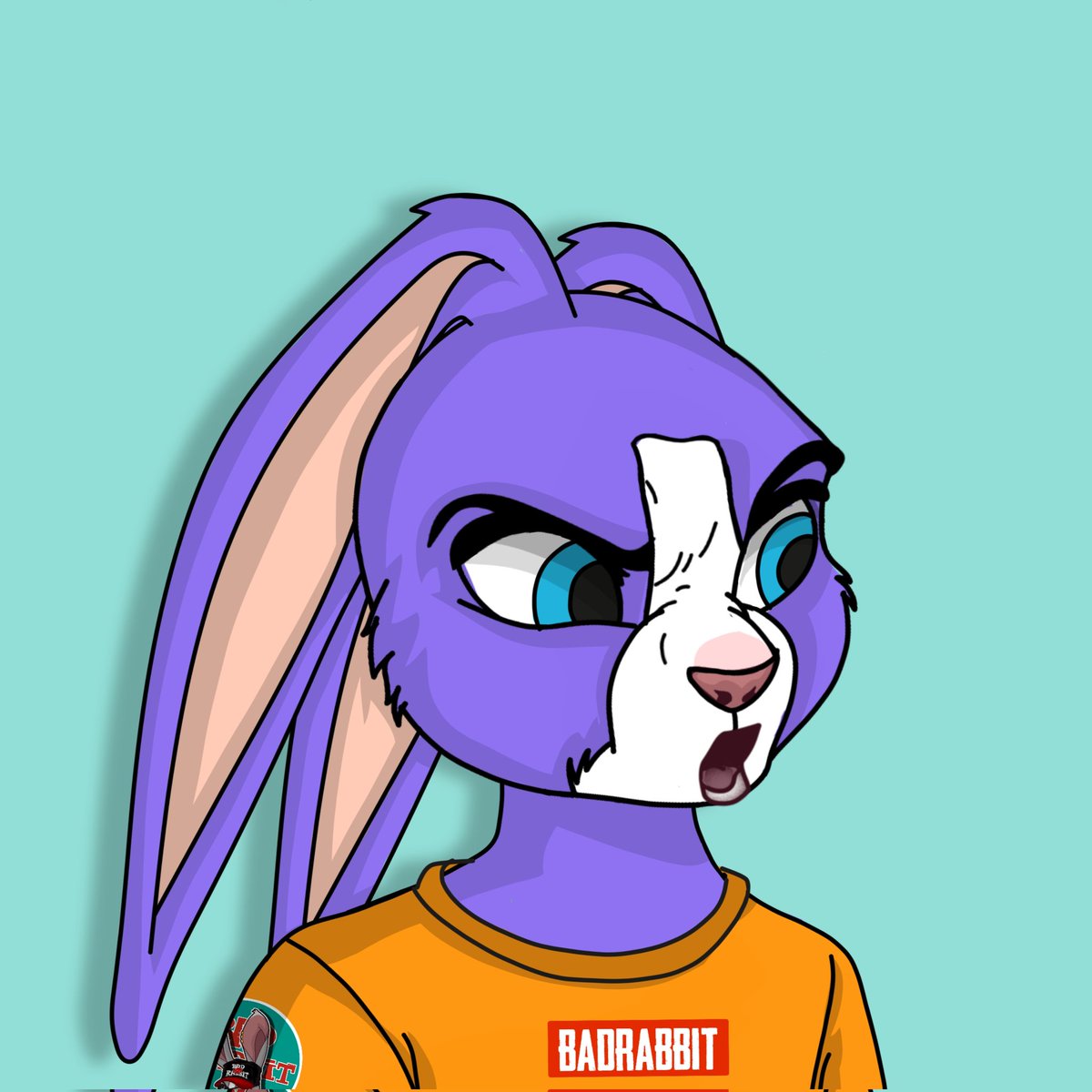 BadRabbit🐰 tweet media