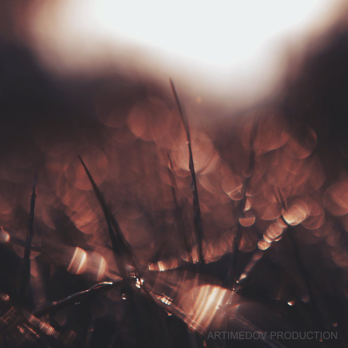 artimedov's tweet image. NFT photo from digital collection: mera.wlbl.xyz for investment.
Rarible link: rarible.com/token/0xe1c4f4…; exclusively from: @Artimedov

#nft #nftart #nftartist #nftdrop #art #cryptoart #raribleart #digitalart #cryptoartbuyers #nftphotography #nfts #cryptomarket #invest