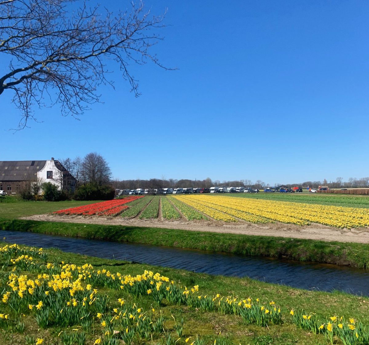 Pol Audivert Escudé tweet media