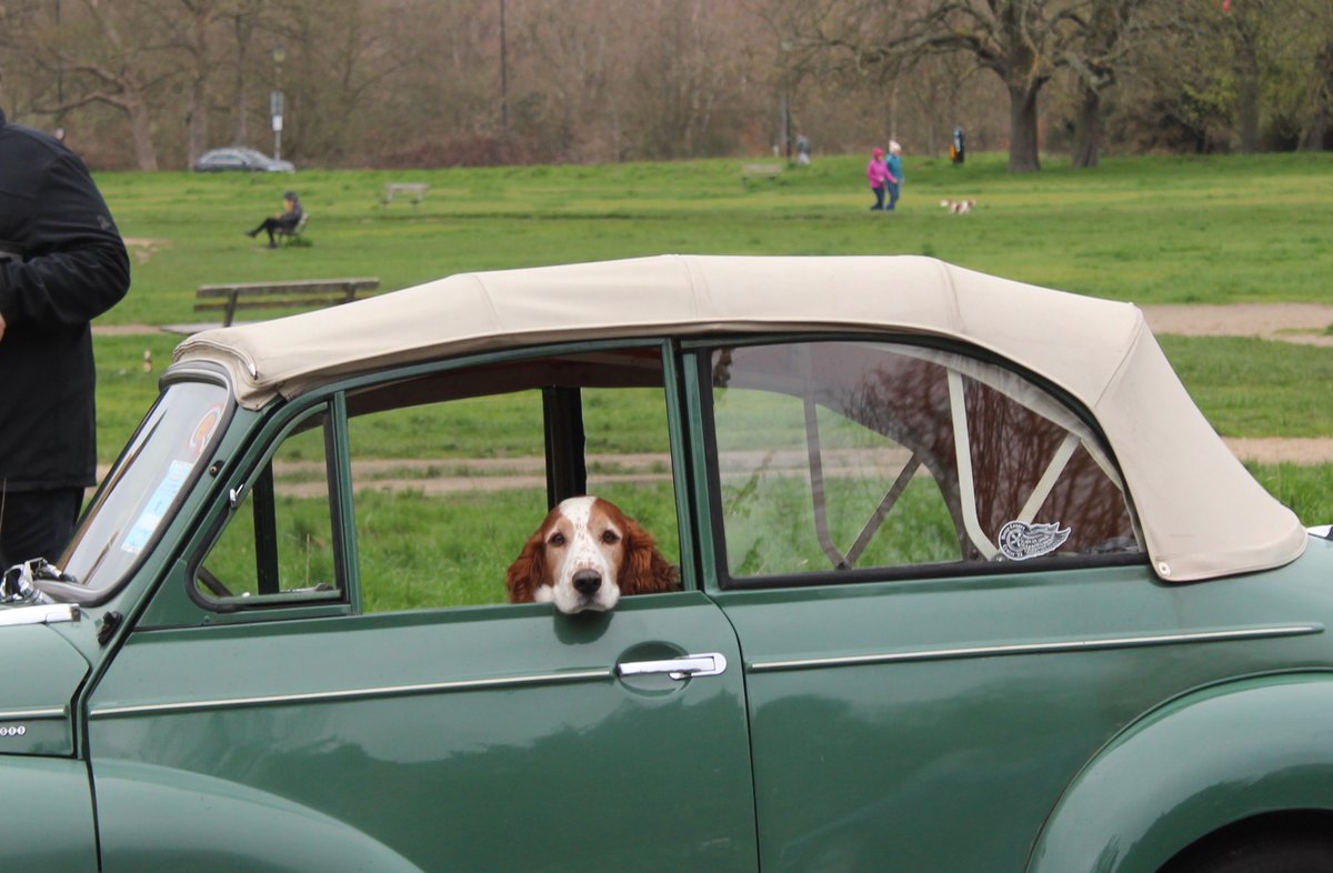 OctaneJames's tweet photo. Last lot from Sunday's #southsidehustle car meet.
There were more, of course, but I don't want you lot to get hustlefatigue.
#Wimbledoncommon #wackyracerscoffeeclub #londonclassics #classiccars #theyremeanttobedriven https://t.co/50DHZuva2N