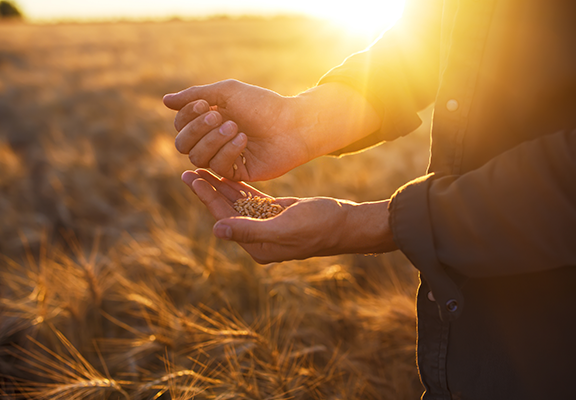 Berner aloitti työn parhaan sadon puolesta 90 vuotta sitten. Vuosikymmenten aikana valikoimamme on laajentunut ja maatalousliiketoiminnasta on kasvanut kotimaisen perheyhtiön suurin toimiala. Lue lisää tarinastamme ja tutustu samalla  tarjoamaamme. ow.ly/T2pX50NC3cM