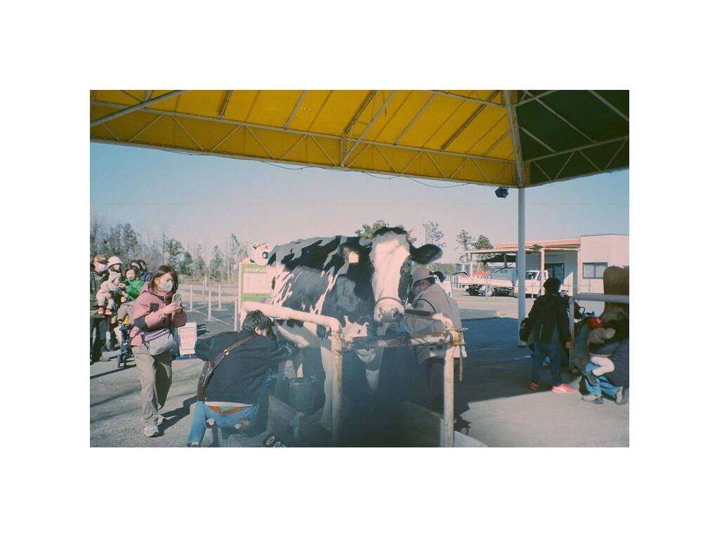 Hu9oWon9's tweet photo. 成日唔記得曬相🐮

#streetphotography #film #photo #35mm #pointandshootcamera #kyocera #yashicat3 #zeiss https://t.co/c4f0aY1LcI https://t.co/Xv2TDF5bMp