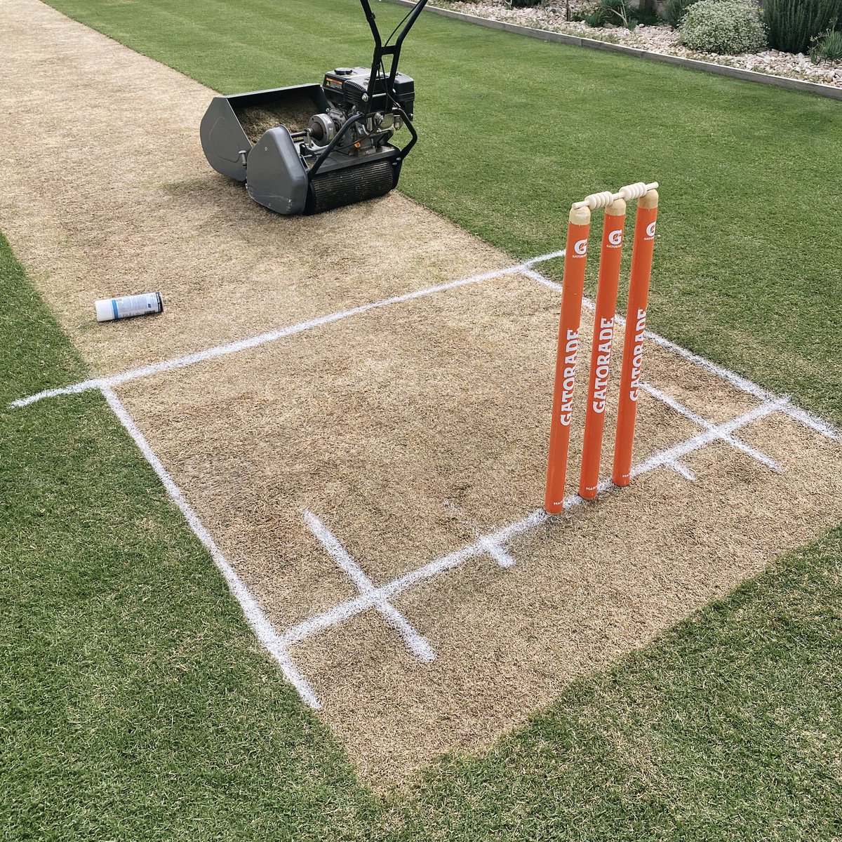 Marnus Labuschagne tweet media