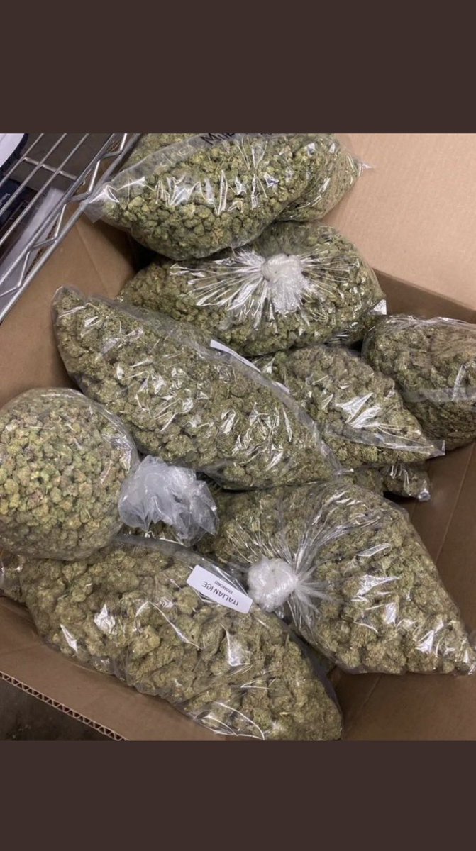 Tasha_Grows's tweet photo. Package to leave the store reviewing all delivery details to make sure everything is arranged to leave company #cannabisculture #cannagrow #newnglandcannabis #weedfamily #smokers #weed https://t.co/TSyXUC9f25