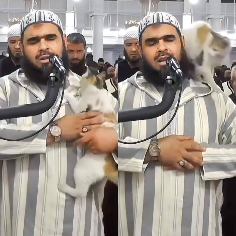 الشيخ وليد مهساس معلقا على واقعة صعود القطة على كتفه :

كنا في عُرس قرآني، وقضينا ساعتين من أروع ساعات العمر مع القرآن الكريم ❤
