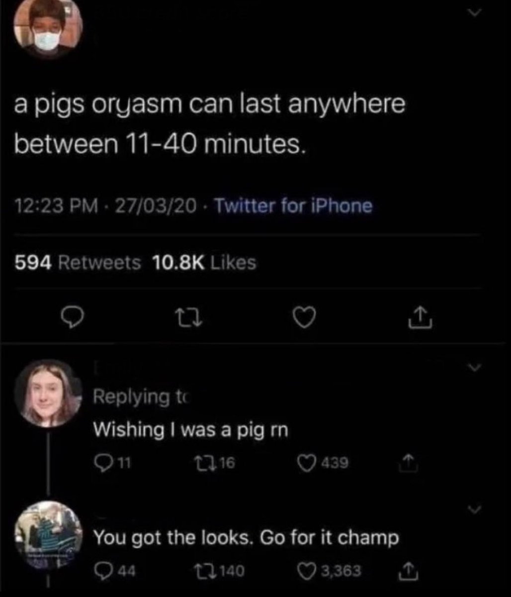 Out of Context Human Race (@nocontexthumans) on Twitter photo 