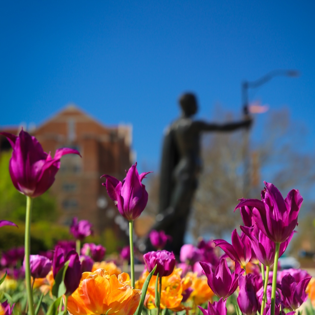 utkwinstonlaw's tweet photo. Enjoy your Spring Recess, Law Vols, and we'll see you Monday!
#Spring #UTK #UTKLaw #UTKnoxville #SpringintheSmokies #Springtime https://t.co/K6rRGuOnHd