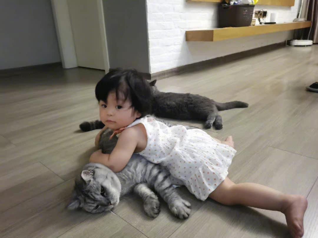 Balas dendam ceritanya 😭