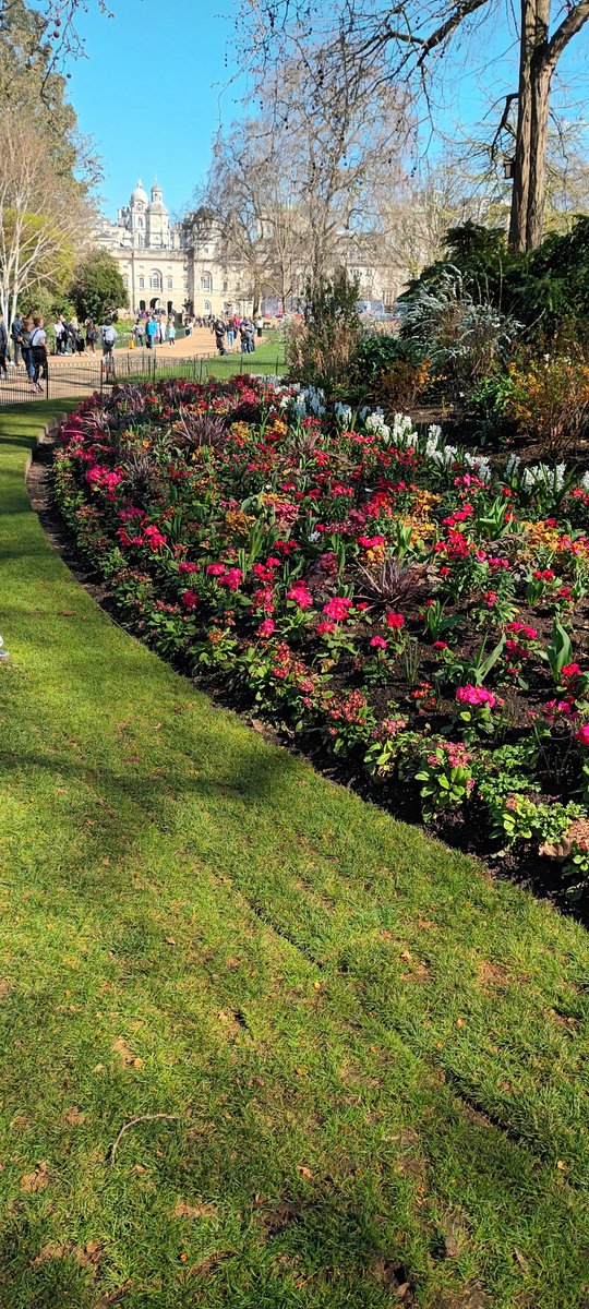 SPRING IN ST JAMES'S PARK:

#london
#royalparks
#londontourism