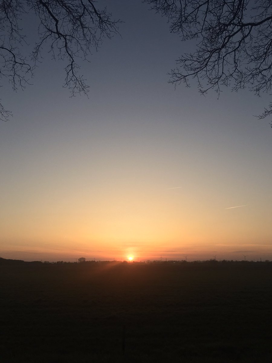 Hiklander's tweet photo. #kiekjes #terapel https://t.co/hmoxxMOSF2