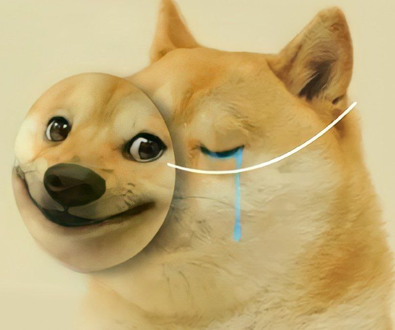 FtC0_ioacAI5wo2.jpg