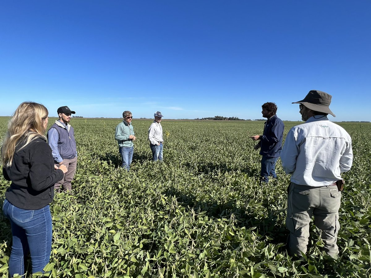 chipicarcamo's tweet photo. Recorrida con multiplicadores, agentes y equipo Pioneer del Sudeste. 
Lindo día y muy buena Soja. https://t.co/KtM4nBVzCr