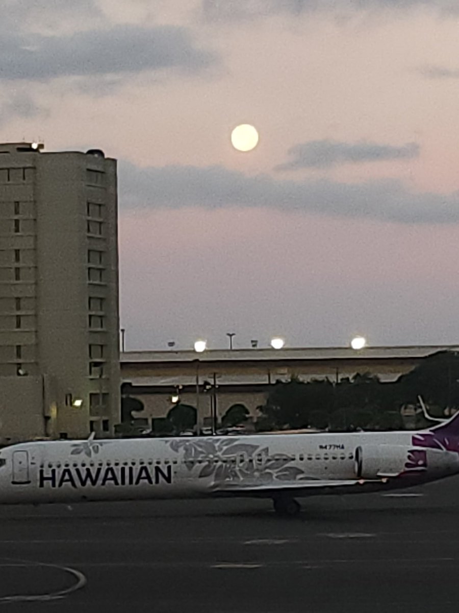 jilltokuda's tweet photo. When you're on one of the first flights out, even the #moon sticks around to say good morning! 🌝 #MauiBound https://t.co/gFuFGW4qVp