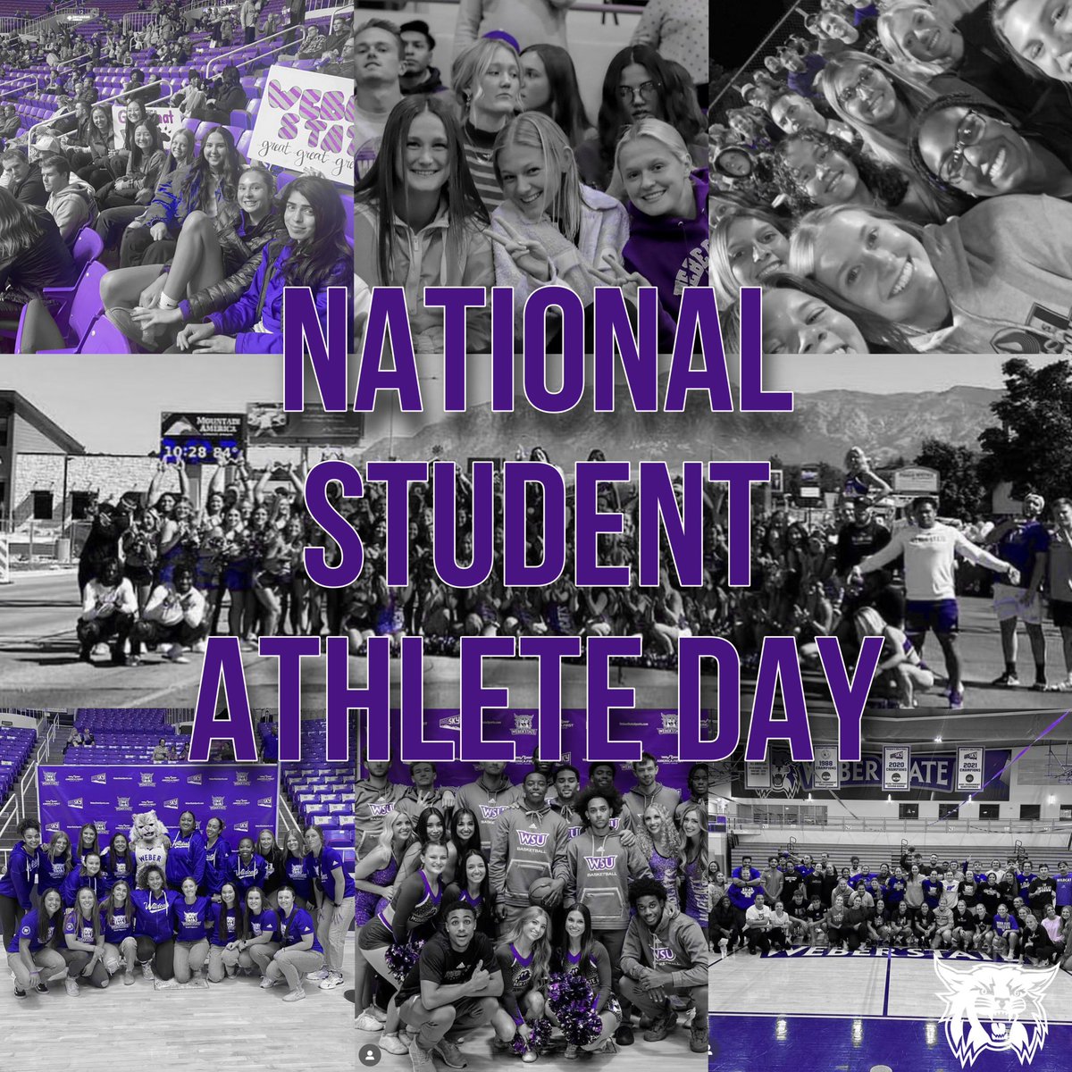 Weber State Athletics tweet media