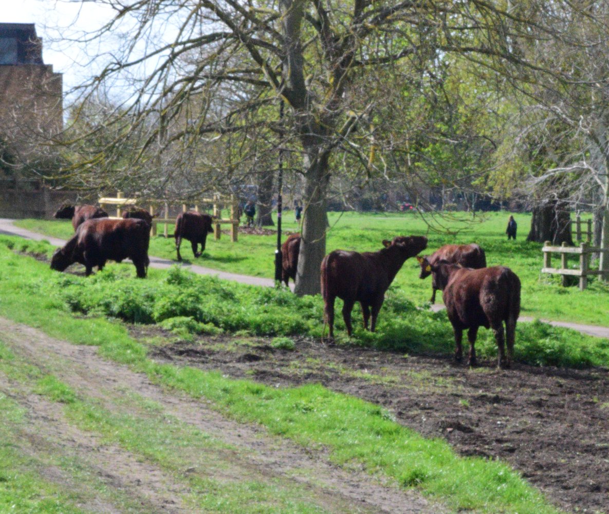 Keith Edkins 🔶 🇺🇦🇬🇱🇨🇦🇵🇦 tweet media