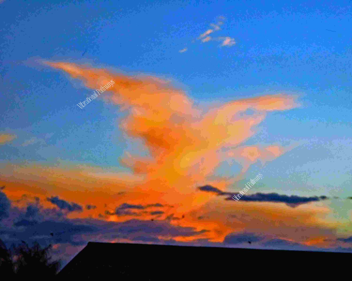 RobieJean1's tweet photo. Eagle over the Barn at Tanque Verde Guest Ranch, Tucson AZ https://t.co/FR1ZwqijkJ #orange #skyScenery #clouds #sunset #western #dudeRanch #lifestyle #landscape # photography #mysticVenturesPhotos https://t.co/sWrJcSvtlM