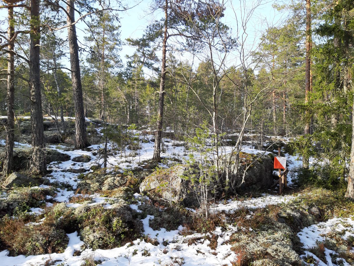 Lumet maastossa sulavat nopeasti ja Ankkurirasteille päästään varmasti hyviin olosuhteisiin. Nyt kannattaa lähteä testaamaan harvoin käytettyä huippumaastoa! 
angelniemenankkuri.com/index.php?page…