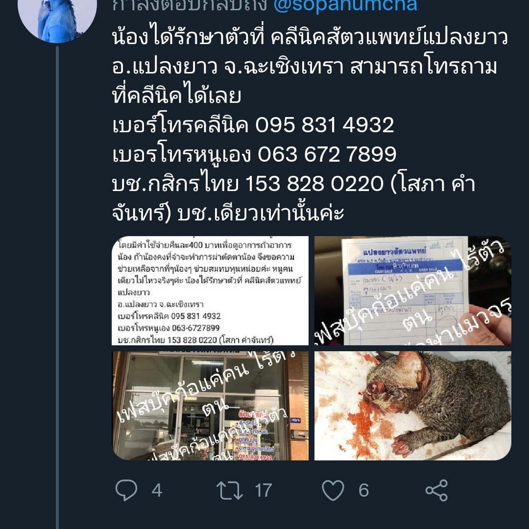 ⛔มิจฉาชีพ 153 828 0220⛔ใช้รูปหมาแมวหาเงิน tweet media