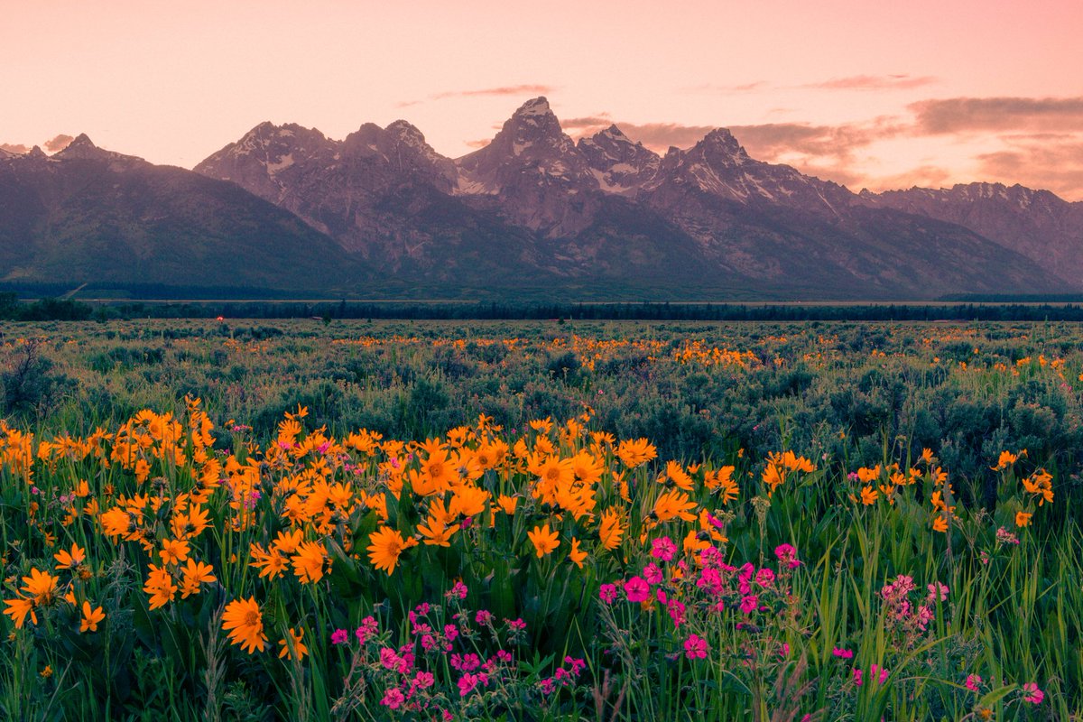 _burnsun_'s tweet photo. Sunset in the Tetons https://t.co/pQ6kPSuD2C