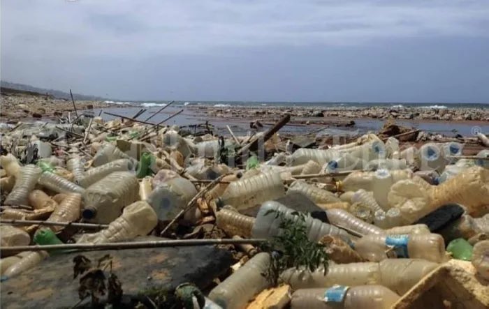 Olga Speranskaya (@olgasperansk) on Twitter photo A new #PlasticsTreaty may not be enough to address #plasticcrisis. National laws and regulations are needed to reduce #plasticproduction, address #plasticpollution and achieve true #CircularEconomy <a href="/brkfreeplastic/">#BreakFreeFromPlastic</a> <a href="/IPEN_AF/">IPEN Afrique Francophone</a> <a href="/CEJADKenya/">CEJAD KENYA</a> <a href="/groundWorkSA/">groundWork</a> manilatimes.net/2023/04/06/opi… A new #PlasticsTreaty may not be enough to address #plasticcrisis. National laws and regulations are needed to reduce #plasticproduction, address #plasticpollution and achieve true #CircularEconomy <a href="/brkfreeplastic/">#BreakFreeFromPlastic</a> <a href="/IPEN_AF/">IPEN Afrique Francophone</a> <a href="/CEJADKenya/">CEJAD KENYA</a> <a href="/groundWorkSA/">groundWork</a> manilatimes.net/2023/04/06/opi…