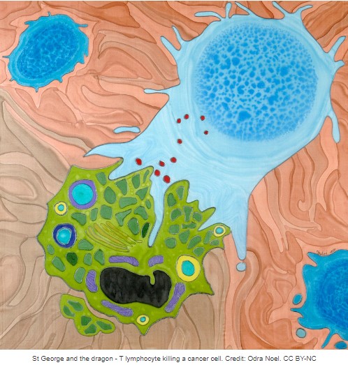 Interested in #quantitative_protein_expression? Check out a new community resource ImmPRes immpres.co.uk ImmPRes was created with the aim to provide an in-depth, high quality, quantitative map of the immuno proteome. See doi.org/10.1038/s41590…