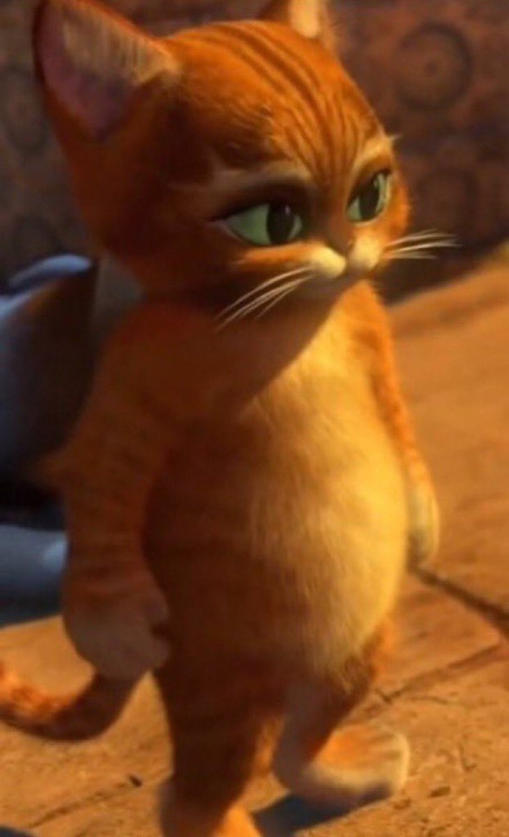 BMS | Abdel 🇩🇿 tweet media