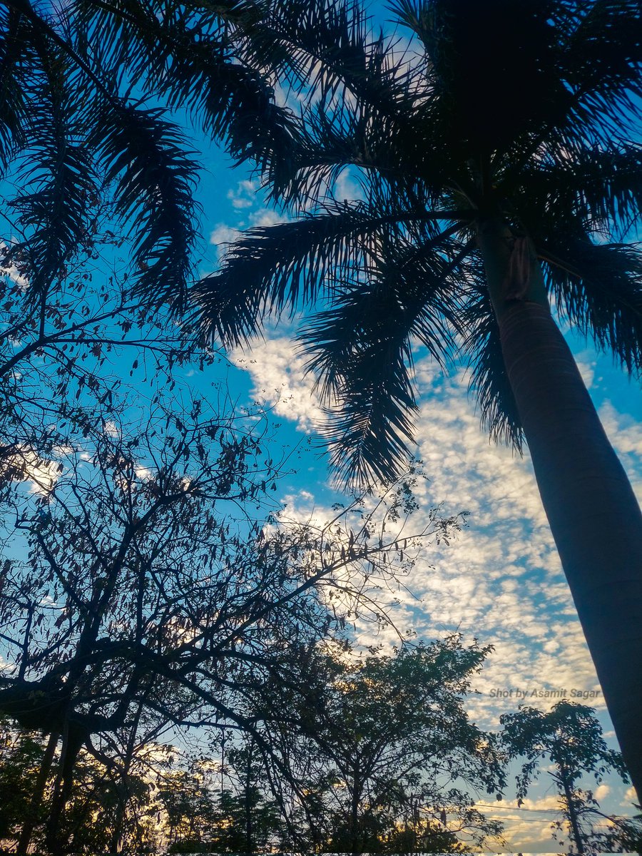 AsamitSagar's tweet photo. Watching Blue sky 💙 
It's a tharepy
.
.
.
.
#photography #skyフレンド募集 #bluee #ShotOnSnapdragon https://t.co/hgQaBxIQAm