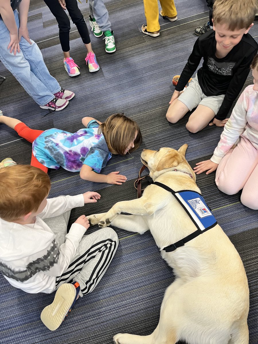 rspeters1's tweet photo. Facility Dog Dove is making friends with 2nd and 5th graders. Meet-and-Greet sessions are going great! Sign up if you haven’t done so already. ⁦@BriarwoodElem⁩ https://t.co/6hyWSfdGRs