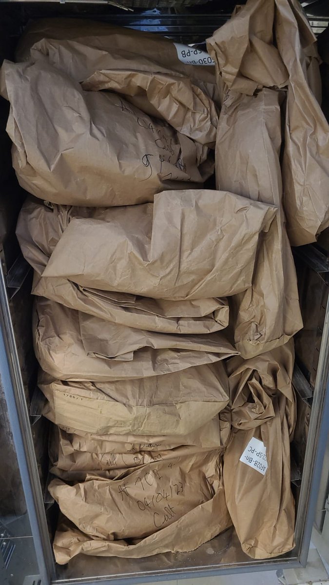 DeepImpact tweet media