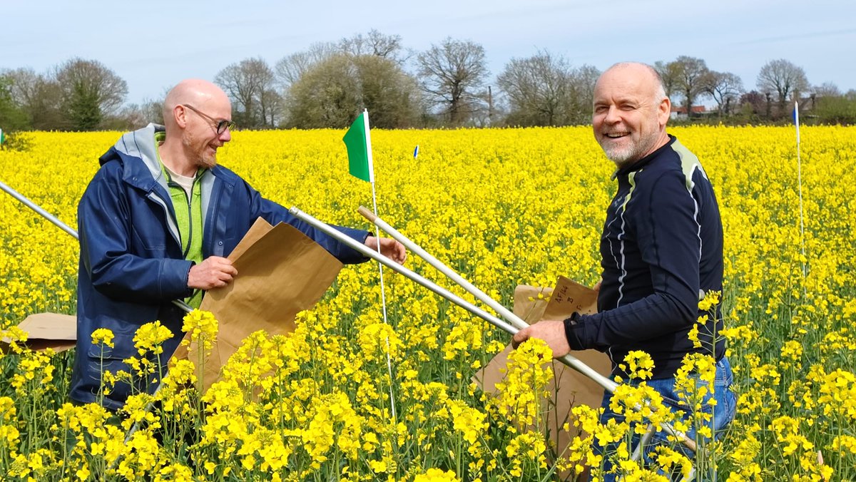 DeepImpact tweet media