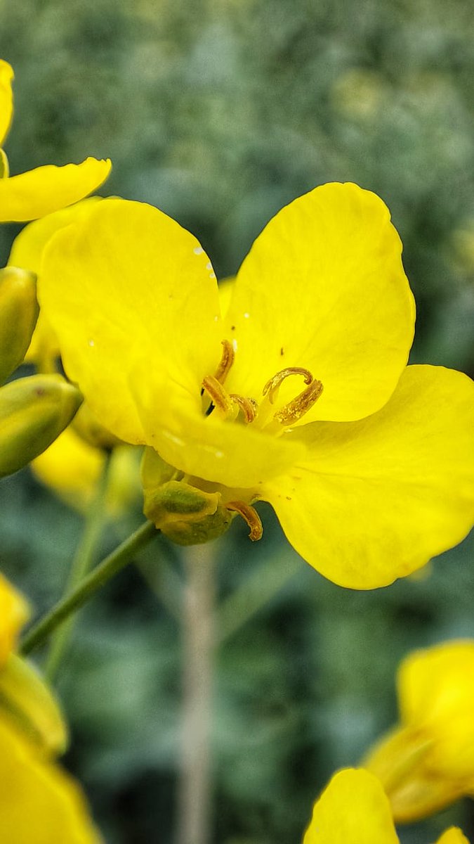 DeepImpact tweet media