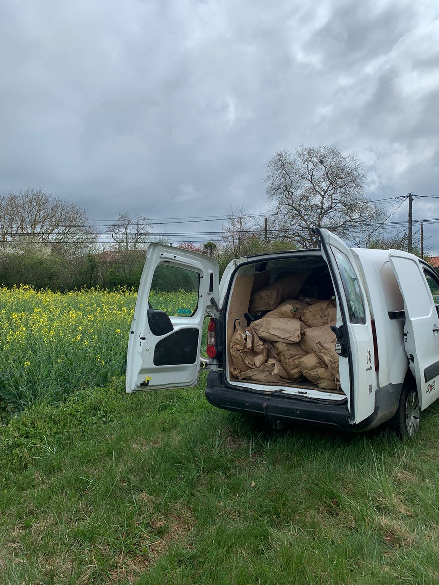 DeepImpact tweet media